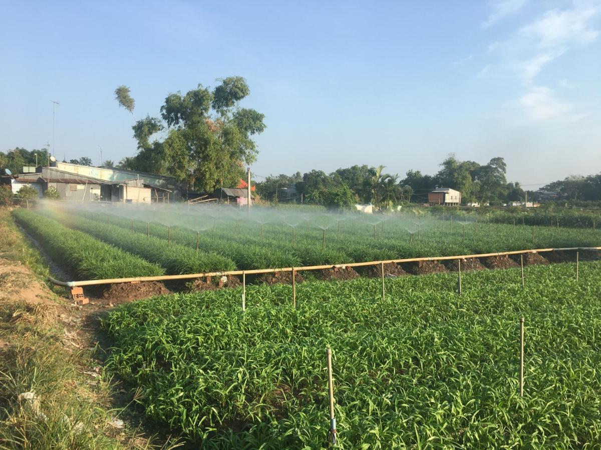 Chau Doc Homestay Exteriör bild